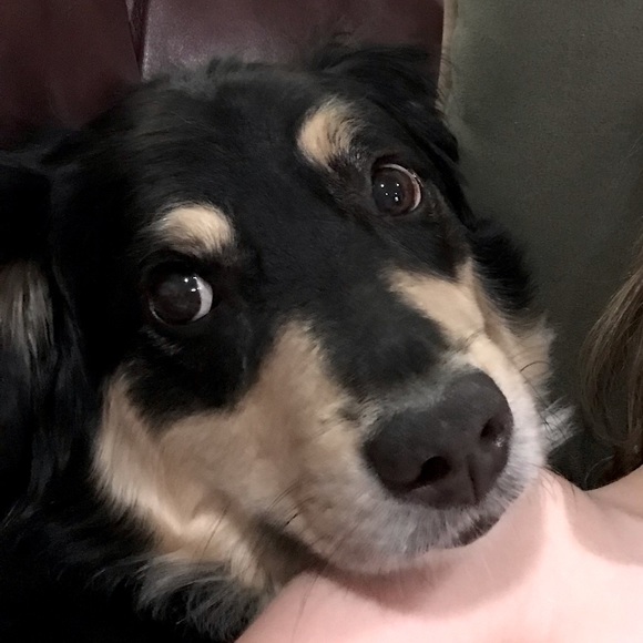 🌸Meet your Posher🌸 - Picture 2 of 5